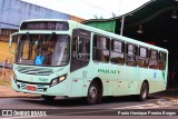 Viação Paraty 7687 na cidade de Araraquara, São Paulo, Brasil, por Paulo Henrique Pereira Borges. Número da foto: #12455574.