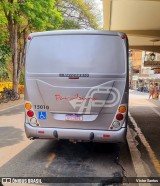 Paraibuna Transportes 15010 na cidade de Carangola, Minas Gerais, Brasil, por Victor Santos. Número da foto: #12453794.