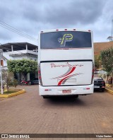 Paraibuna Transportes 10006 na cidade de Pedra Dourada, Minas Gerais, Brasil, por Victor Santos. Número da foto: #12453804.