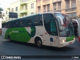 Pássaro Verde 29015 na cidade de Belo Horizonte, Minas Gerais, Brasil, por J. Júnior. Número da foto: #12453668.