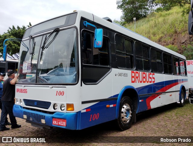Brubuss Transportes 100 na cidade de Campinas, São Paulo, Brasil, por Robson Prado. Número da foto: #12498724.