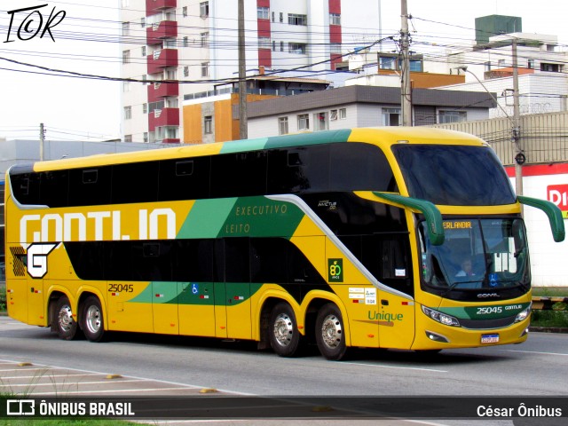 Empresa Gontijo de Transportes 25045 na cidade de Belo Horizonte, Minas Gerais, Brasil, por César Ônibus. Número da foto: #12500710.