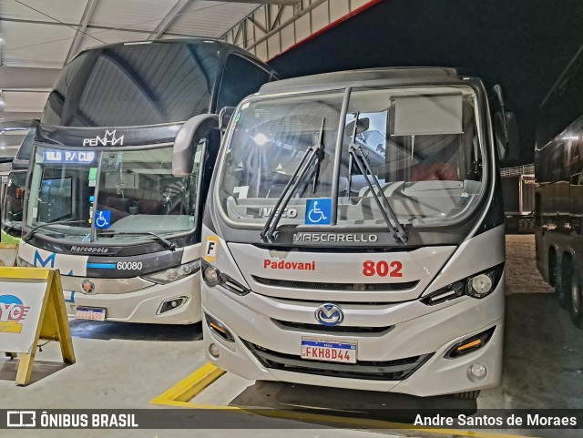 Transporte Padovani 802 na cidade de Registro, São Paulo, Brasil, por Andre Santos de Moraes. Número da foto: #12501131.