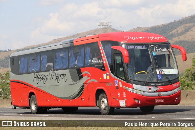 Empresa de Ônibus Pássaro Marron 5821 na cidade de Roseira, São Paulo, Brasil, por Paulo Henrique Pereira Borges. Número da foto: #12500222.