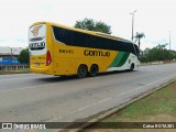 Empresa Gontijo de Transportes 19645 na cidade de Ipatinga, Minas Gerais, Brasil, por Celso ROTA381. Número da foto: #12500589.