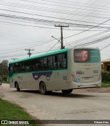 Viação Nossa Senhora Conquistadora 553 na cidade de Pelotas, Rio Grande do Sul, Brasil, por Ribeiro Reis. Número da foto: #12500895.