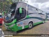Vitória Fretamento e Turismo 2102 na cidade de Porto Alegre, Rio Grande do Sul, Brasil, por JULIO SILVA. Número da foto: #12501256.