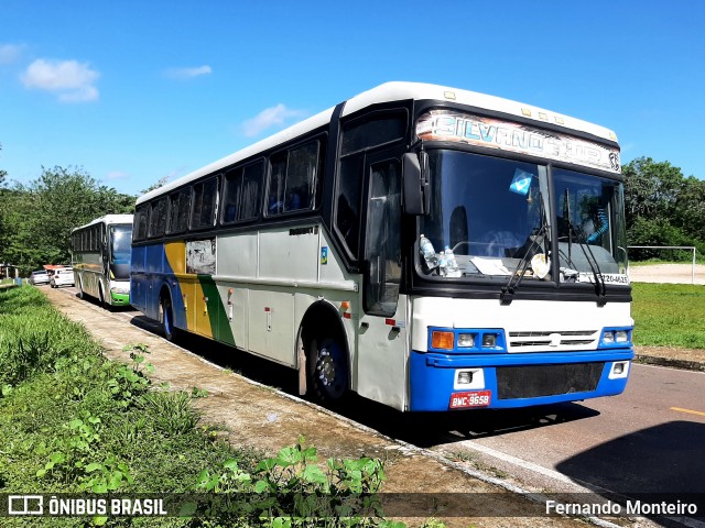 Silvano Tur BWC9658 na cidade de Terra Alta, Pará, Brasil, por Fernando Monteiro. Número da foto: #12503819.