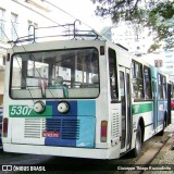 Viação Piracicabana Santos 5307 na cidade de Santos, São Paulo, Brasil, por Giuseppe Thiago Russodivito. Número da foto: #12502668.
