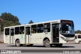 Viação do Sul 26274 na cidade de Curitiba, Paraná, Brasil, por Patrick  Luis Aifeld. Número da foto: #12503235.