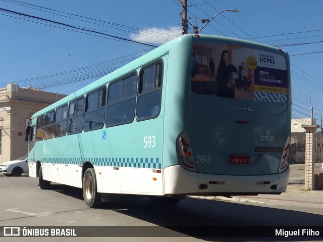 Viação Nossa Senhora Conquistadora 593 na cidade de Pelotas, Rio Grande do Sul, Brasil, por Miguel Filho. Número da foto: #12504486.