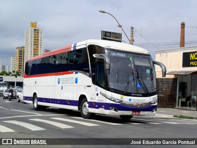 Viação Piracicabana 2479 na cidade de Piracicaba, São Paulo, Brasil, por José Eduardo Garcia Pontual. Número da foto: #12506005.
