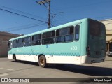 Laranjal Transportes 403 na cidade de Pelotas, Rio Grande do Sul, Brasil, por Miguel Angel. Número da foto: #:id.