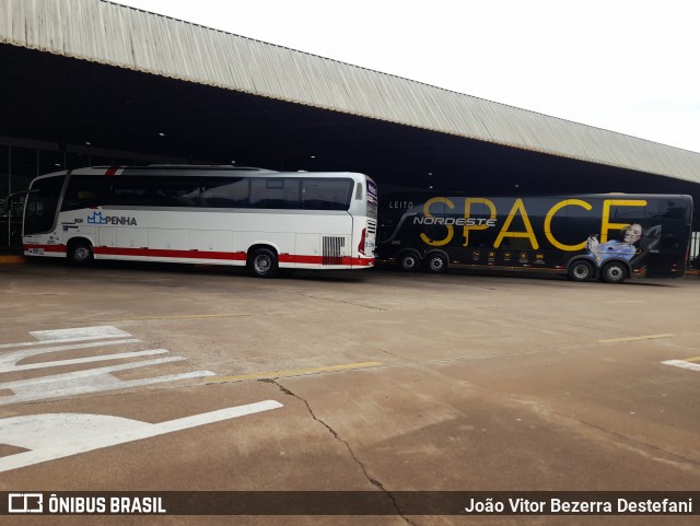Empresa de Ônibus Nossa Senhora da Penha 6534 na cidade de Maringá, Paraná, Brasil, por João Vitor Bezerra Destefani. Número da foto: #12508511.