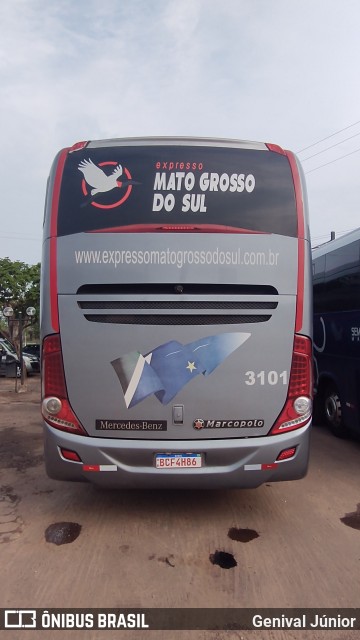 Expresso Mato Grosso do Sul 3101 na cidade de Miranda, Mato Grosso do Sul, Brasil, por Genival Júnior. Número da foto: #12507830.
