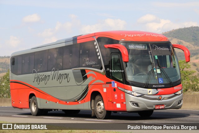 Empresa de Ônibus Pássaro Marron 6002 na cidade de Roseira, São Paulo, Brasil, por Paulo Henrique Pereira Borges. Número da foto: #12510315.