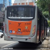 TRANSPPASS - Transporte de Passageiros 8 0087 na cidade de São Paulo, São Paulo, Brasil, por Michel Nowacki. Número da foto: #12510643.