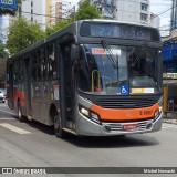 TRANSPPASS - Transporte de Passageiros 8 0087 na cidade de São Paulo, São Paulo, Brasil, por Michel Nowacki. Número da foto: #12510638.