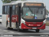 Auto Viação Palmares D17078 na cidade de Rio de Janeiro, Rio de Janeiro, Brasil, por Augusto César. Número da foto: #12513631.