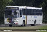 Borborema Imperial Transportes 281 na cidade de Recife, Pernambuco, Brasil, por Eliziar Maciel Soares. Número da foto: #:id.