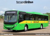 Transportes Capellini 12354 na cidade de Campinas, São Paulo, Brasil, por Fernando Martins Antunes. Número da foto: #12515048.