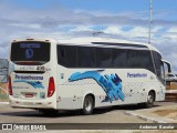 Viação Pernambucana Transporte e Turismo 321 na cidade de Juazeiro, Bahia, Brasil, por Anderson  Bacelar. Número da foto: #12513943.