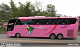 Nova América Turismo 2500 na cidade de Santos Dumont, Minas Gerais, Brasil, por Isaias Ralen. Número da foto: #12515027.