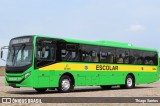 Transportes Capellini 12354 na cidade de Campinas, São Paulo, Brasil, por Thiago Santos. Número da foto: #12513655.