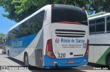 Rosa de Saron 320 na cidade de Recife, Pernambuco, Brasil, por Daniel  Julio. Número da foto: #12513743.