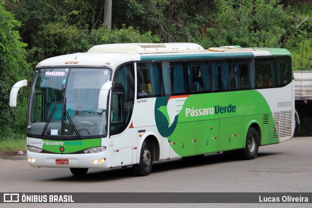 Pássaro Verde 29020 na cidade de Mariana, Minas Gerais, Brasil, por Lucas Oliveira. Número da foto: #12517224.