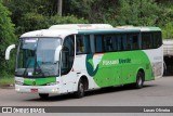 Pássaro Verde 29020 na cidade de Mariana, Minas Gerais, Brasil, por Lucas Oliveira. Número da foto: #12517224.