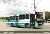 Viação Jacareí 2167 na cidade de Santa Isabel, São Paulo, Brasil, por Ricardo Luiz. Número da foto: #12516489.