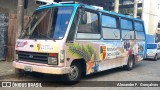 Pousada dos Condes DGX7291 na cidade de Blumenau, Santa Catarina, Brasil, por Alexandre F.  Gonçalves. Número da foto: #12516859.