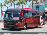 Borborema Imperial Transportes 2311 na cidade de Recife, Pernambuco, Brasil, por Rodrigo Fonseca. Número da foto: #12516549.