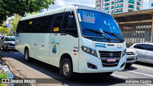 Sinprovan - Sindicato dos Proprietários de Vans e Micro-Ônibus N-B/029 na cidade de Belém, Pará, Brasil, por Adriano Castro. Número da foto: #12520276.