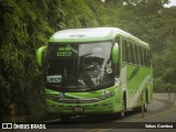 Caribeños 00 na cidade de San José, Costa Rica, por Sebas Gamboa. Número da foto: #12522381.
