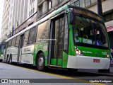 Viação Santa Brígida 1 1478 na cidade de São Paulo, São Paulo, Brasil, por Hipólito Rodrigues. Número da foto: #12521310.