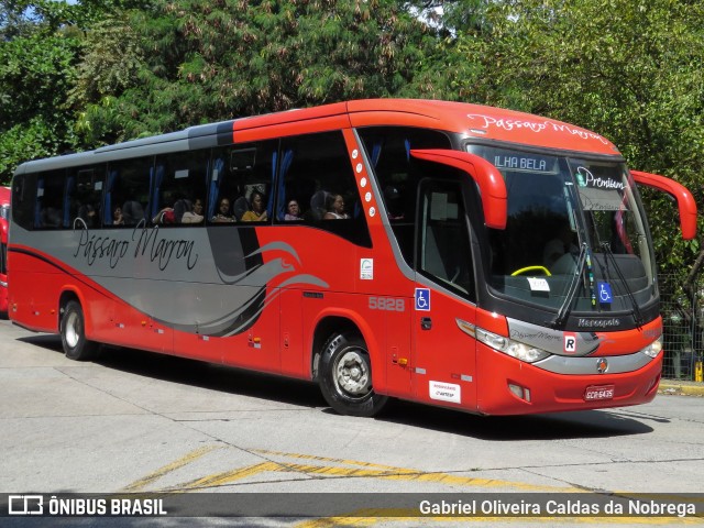 Empresa de Ônibus Pássaro Marron 5828 na cidade de São Paulo, São Paulo, Brasil, por Gabriel Oliveira Caldas da Nobrega. Número da foto: #12456517.