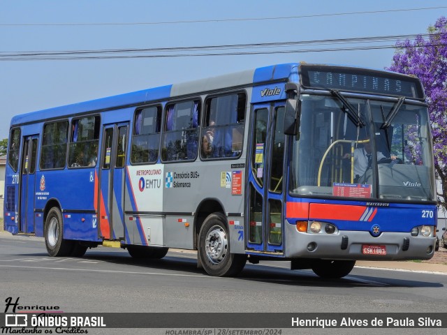 Transportadora Salamanca 270 na cidade de Holambra, São Paulo, Brasil, por Henrique Alves de Paula Silva. Número da foto: #12456960.