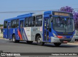 Transportadora Salamanca 370 na cidade de Holambra, São Paulo, Brasil, por Henrique Alves de Paula Silva. Número da foto: #12456958.