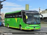 Pássaro Verde 23184 na cidade de Belo Horizonte, Minas Gerais, Brasil, por Douglas Célio Brandao. Número da foto: #:id.