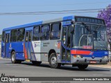 Transportadora Salamanca 270 na cidade de Holambra, São Paulo, Brasil, por Henrique Alves de Paula Silva. Número da foto: #12456960.