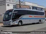Viação Piracicabana 462407 na cidade de Holambra, São Paulo, Brasil, por Henrique Alves de Paula Silva. Número da foto: #12456946.
