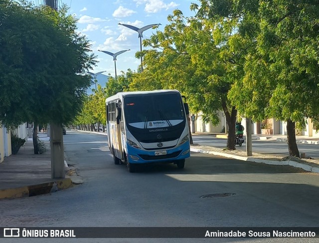Trans Sol - TranSol Sobral 7355 na cidade de Sobral, Ceará, Brasil, por Aminadabe Sousa Nascimento. Número da foto: #12523477.