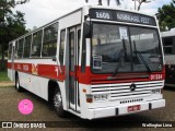 Auto Viação Brasil Luxo 01 534 na cidade de Campinas, São Paulo, Brasil, por Wellington Lima. Número da foto: #12523506.