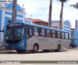 Rosa Turismo 18304 na cidade de Tatuí, São Paulo, Brasil, por Weslley Kelvin Batista. Número da foto: #12523328.