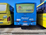 Biguaçu Transportes Coletivos Administração e Participação 463 na cidade de Florianópolis, Santa Catarina, Brasil, por Richard Silva. Número da foto: #12522797.