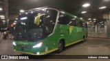 Pássaro Verde 23181 na cidade de Belo Horizonte, Minas Gerais, Brasil, por Adriano  Almeida. Número da foto: #12524151.