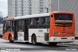 TRANSPPASS - Transporte de Passageiros 8 0333 na cidade de São Paulo, São Paulo, Brasil, por Franz Hecher. Número da foto: #12525847.