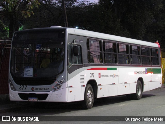 Borborema Imperial Transportes 377 na cidade de Recife, Pernambuco, Brasil, por Gustavo Felipe Melo. Número da foto: #12458601.